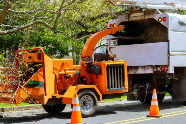 Best Emergency Tree Removal  in New Richmond, WI